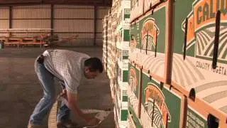 Решения PTI от HarvestMark