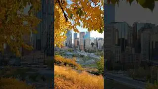 Fall in Calgary Alberta Canada 🇨🇦 #shorts #Calgary #Canada #alberta