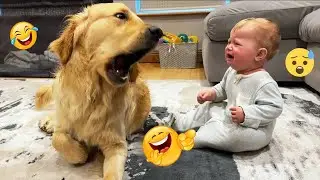 Funny Dog Fails 2025 | You&rsquo;ll Laugh in 5 Seconds 😂🐶 | PAU Laughter #48
