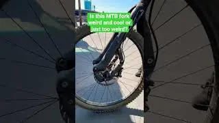 Weird MTB Fork