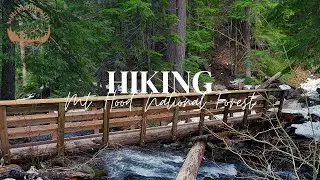 SPRING HIKING & CAMPING Mt. Hood National Forest