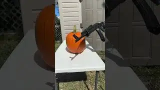 Critical damage #pumpkin #explodes #funny #ak47gun #funnyvideo #halloween #pumpkins #florida