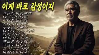 술한잔 하면서 듣는 노래 🌙힘든날, 혼자듣는 위로의 노래 #중년감성 #7080 #kpop