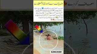emotional moment! #flood hero #real life hero#Punjab flood's #save the dog #natural disaster #viral