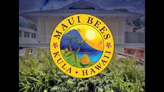 Welcome to Maui Bees Farm! Maui, HI