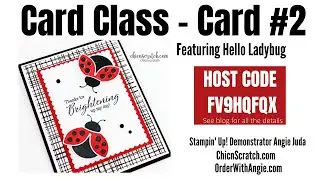 Hello Ladybug Class Card 2