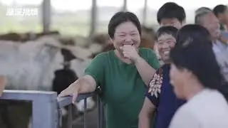 Cattle industry in Linquan County booms with annual profit of over 100 million yuan