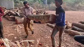 Crazy Wood Peeling Machine at Sawmill🪵👌| Big log peeling plywood making process 🌲|