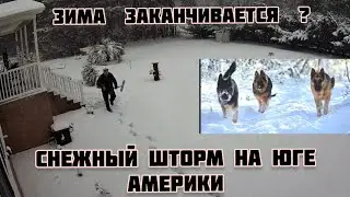 СНЕЖНЫЙ ШТОРМ  В ЮЖНОЙ КАРОЛИНЕ  USA 🇺🇸  НЕУЖЕЛИ ЗИМА ЗАКАНЧИВАЕТСЯ  ? 