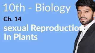 10th Class Biology Chapter 5 - Sexual Reproduction in Plant - Class 10 Biology Chapter 14