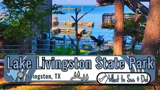 What to See and Do at Lake Livingston State Park | Texas State Parks | Livingston, TX