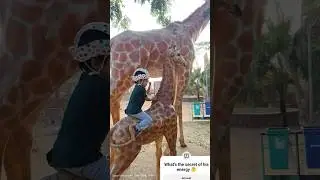 #garden #fun #park #india  #bestmoment #parenting #entertainment #kids #nurseryrhym #reels #shorts