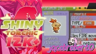 Shiny Starter Torchic in Pokemon Ruby after 12,135 SR with NO Pooch