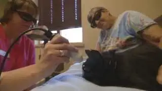 Creekside Animal Clinic - Short | Norton, OH