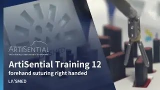 ArtiSential Training 12 forehand suturing right handed