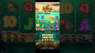 💰💰1000X Big Purple Fish Big Bass Bonanza 1000💥💥(Small 20p Stake)