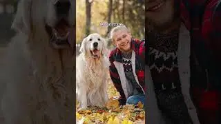 Fear of men means a dog was abused - Myth or Fact Day 22