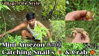 Part - 1 Snails catching Village fun video | #tn18vlogs &hearts;️ #snail #snake #fish #kingfisher #crab #fb