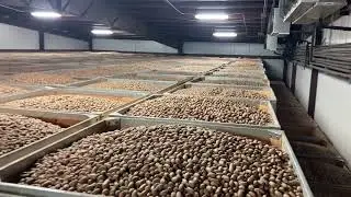 Cold storage 🥶- just nuts
