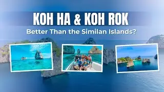 Koh Ha & Koh Rok &ndash; Better Than the Similan Islands? | 5 Star Marine Private Tour
