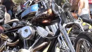 BORN FREE 6 RECAP