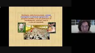 AULA 8-  ESTUDO DAS OBRAS ANDRÉ LUIZ / CHICO XAVIER - AME-SG  2021 08 20 at 14 00 GMT 7