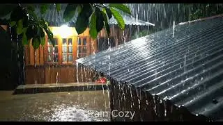 Heavy Tropical Rain on Metal Roof at Night | Ultra Realistic Rain Sounds for Sleep & Relaxation