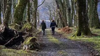 Waternish Farm Walks