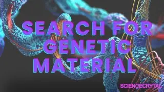 Search for genetic material | Class-12 | Neet Biology NCERT 