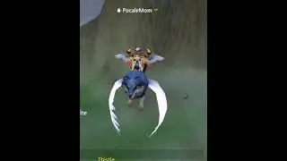 World Of Prandis Reverse Fly