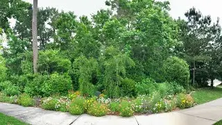 Windsor Lakes Renewal After Hurricane Ike, Best of Texas Award