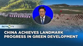 China Leads Global Afforestation, Advances Clean Energy and Pollution Control