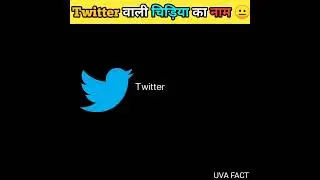 Twitter वाली चिड़िया का नाम // UVA FACT // #shorts #ytshorts #Twitter #amazingfacts #uvafact