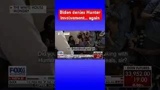 When pressed by Fox reporter, Biden denies involvement in Hunter&rsquo;s deals #shorts