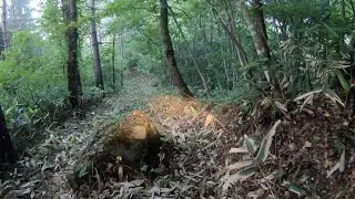 Lost in forest Japan. Motorcycle mountain ride in Japan. Kawasaki off-road KLX230【Life in Japan】