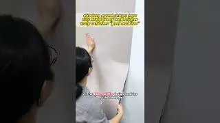 akadeco agent shares how this Mold proof wall sticker truly achieves &ldquo;peel and live&rdquo;
