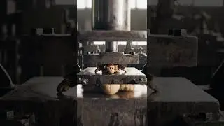 Dekhiae kaise hydraulic press ke niche monkey dab Gaya 😱😭🥶