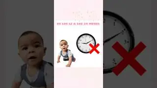 &iquest;Qu&eacute; necesita tu beb&eacute; de 12 a 24 meses? 🧠✨