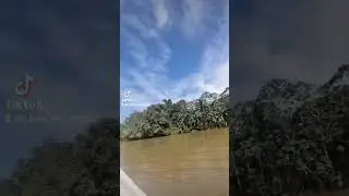 r&iacute;o chucunaque en peligro.por causa de la contaminaci&oacute;n de los migrantes en la provincia de dari&eacute;n
