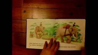 Read Aloud: Working Animals by Paul Stickland