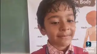 Std: 1st,Sub : EVS,Activity: Oral Test,Tr : Mitali ma'am,Sc:Unity ( 9157936963)