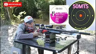 Daystate Red Wolf HP Hilite-50mts JSB Ultra Shock 1.65g.