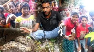 Russell viper snake rescue: বিশাল বড় বিষধর চন্দ্রবোড়া সাপকে অজগর ভেবে ভুল করবেন না