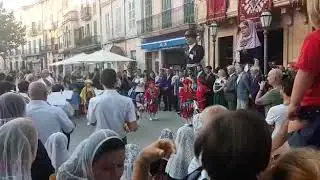 Cavallets cotoners. Llucmajor