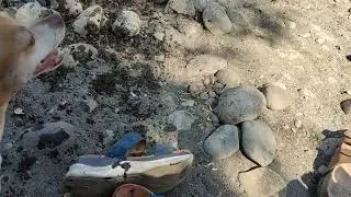 Balsa de Zapallar 8