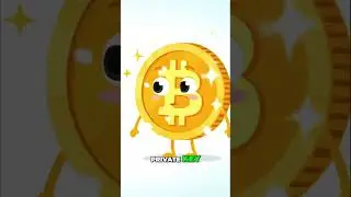 Bitcoin Coins Think Dan is Like a Private Key! (Google VEO 3) #GoogleVEO3 #aivideoyoutube #aivideo