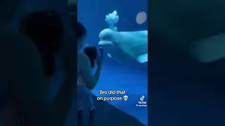 The whale was just having fun 🤪