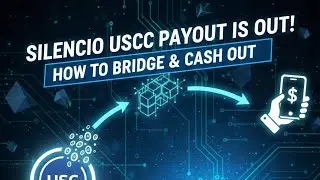 Silencio USDC Withdrawal Guide | Peaq Network to Exchange