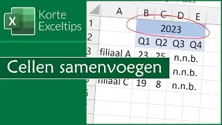 Cellen samenvoegen
