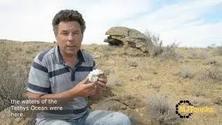Для чего нужен природный битум.